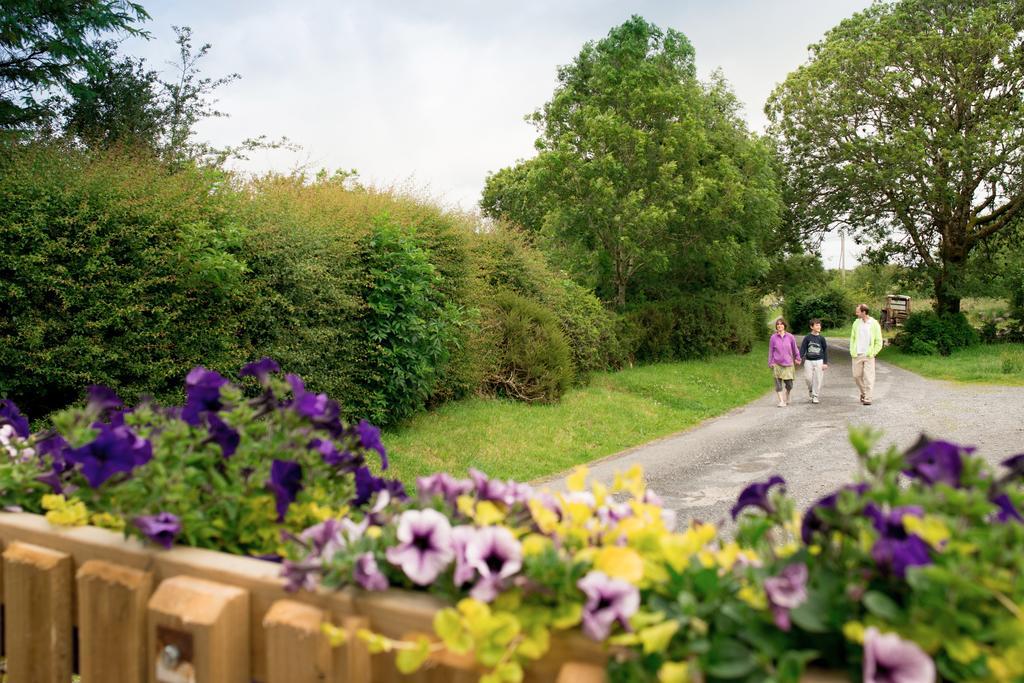 Burren Glamping Kilfenora Exterior photo
